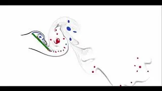Lattice Boltzmann Method (LBM) - Flow around an inclined plane
