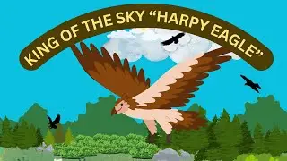 Harpy Eagle Chronicles: The King of the Canopy! @InfiniteInsightFact #HarpyEagle #WingedWonder