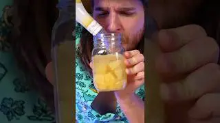 I left Pineapple in Pineapple Malibu for a week