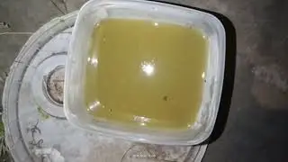 Uses of Aloevera in garden