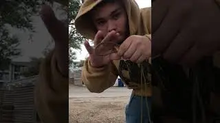 ✅This Guy Shows Survival Skills 🪢 | Easy Loop Knot ⛺ #camping #survival #bushcraft #knots #diy