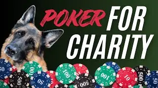 Gambling to Help Out Our Furry Friends