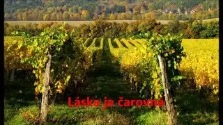 L&aacute;ska je čarovn&aacute; - Napsal mi z vojny kamar&aacute;d