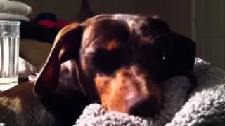 Pepper is tyty