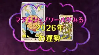 【必見】2026年の運勢をみます【カバラ数秘術】 #占い #タロット