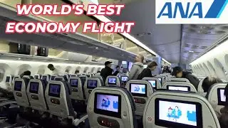 Отчет о поездке: Обзор лучшего в мире эконом-класса на рейсе ANA (All Nippon Airways) из Нариты в...