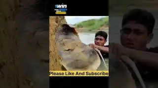 इस लड़के को मिला कुछ ऐसा चीज़ जिसे देखने के बाद 😱 ? || #ytshorts #shorts #trending #viral #factstrue
