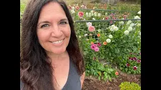 Michelle's Dahlia Tour Part 2 | Pond House Garden