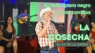 El As de la Sierra - La Cosecha