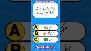 Quiz MCQs Questions Answers For Increasing Knowledge Brain Test 🧠