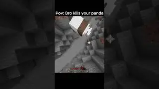 Hes never touching my pets again yo #minecraft #minecraftshorts #minecraftvideos