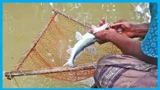 Primitive Technology Fishing For Eel & Catfish (Part 25) | Fish Corn