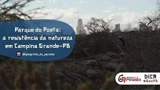 Parque do Poeta: a resistência da natureza em Campina Grande-PB