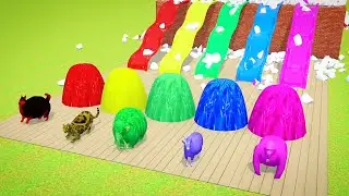Old MacDonald+Ski Song  Nursery Rhymes & Kids Songs Monkey baby choose challenge board AnimalsEscape