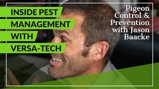 Cleaning Pigeon Droppings | Inside Pest Management Versa-Tech&reg; LA County Bird Control