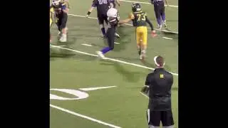 Highlights