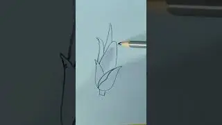 Corn cob drawing#shorts