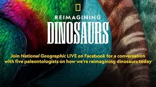 Переосмысление динозавров | National Geographic