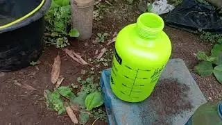 testing the new sprayer