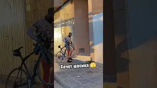 Хочет шоссейный велосипед 🫣 #велосипед #велосипедистка