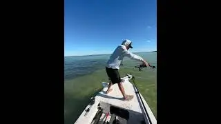 $6000 DRONE CRASH 💥 #inshorefishing #fishing #floridafishing #snook #dji #mavic3