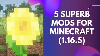 5 Superb Mods For Minecraft 1.16.5 (April # 1)