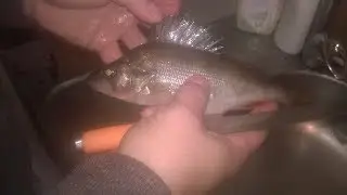 КАК БЫСТРО ПОЧИСТИТЬ ОКУНЯ .AS A BISTRO CLEAN BASS.