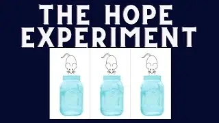 All About Hope (The Hope Experiment rats)