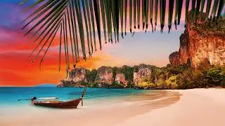 BACKGROUND VIDEO PACK AFTERNOON AT A BEAUTIFUL BEACH / no copyright