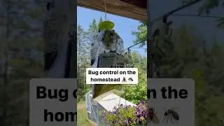 How to Control Bugs on the Homestead (more in description ✨)