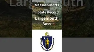 How big is the Massachusetts Largemouth Bass?