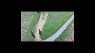Test Drone &agrave; Neffies ( 34 )