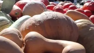 Things To Do In October