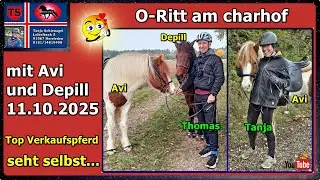 O-Ritt am Charhof mit Avi und Depill 11.10.2025, Isländer, Islandpferde, Tanja Schienagel