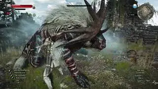 The Witcher 3 Wild Hunt:Dead March - Morvudd