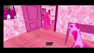 ESCAPING THE PINK GRANNY!