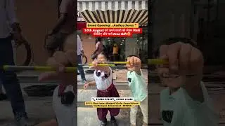 South Bopal  में इतना सस्ता ?//Gujaratkabusiness// #shorts #opening #bopal #ahmedabad #gujarat