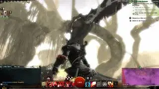 Glory to Iron Legion! Guild Wars 2 two-player part 13...!