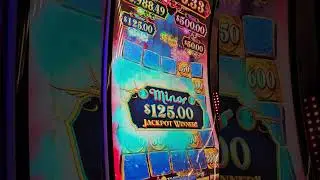Mystery of the lamp Double and Jackpot nice win #gambleresponsibly  #betresponsibly 