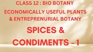 Spices & Condiments - 1 | Economically useful plants & entrepreneurial botany | Class 12 | Tamil