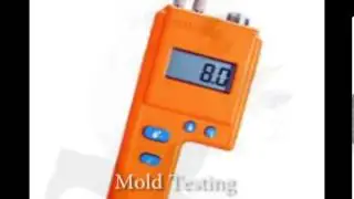 Miami Mold Inspection | Mold Testing Miami | Mold Removal Miami | Mold Remediation Miami