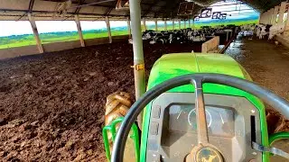 REPOSI&Ccedil;&Atilde;O DE CAMA DO COMPOST BARN! A cama que era 28 reias o m3 est&aacute; bem mais cara!