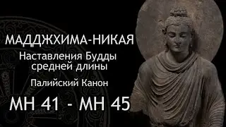Мадджхима-никая. Наставления Будды средней длины. МН 41 - МН 45 / Студия Бодхи