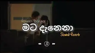 Raveen Tharuka - Mata Danena ( මට දැනෙනා ) | Slowed & Reverb | SlowVerb | 