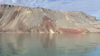 Wild Belugas in Svalbard | OneWhale.org
