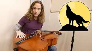 Wolf Tones on Cello Part 2 | Online Cello Lessons