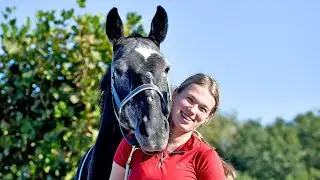 Tessa's zoektocht naar een nieuw paard Cerrito DV Z