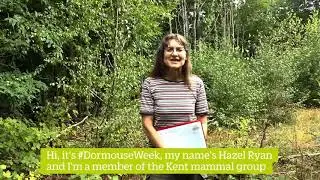 #DormouseWeek: Hazel Ryan