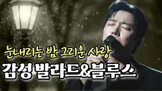 밤에 듣기 좋은 블루스 ㅣ 첫눈 내리면, 당신이 올 것 같아요 | 7080  중년감성의 발라드