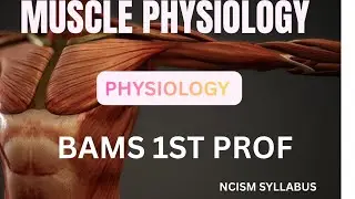 Muscles physiology | BAMS 1st year | part 1st #physiology muscles physiology in hindi #bams1stprof 